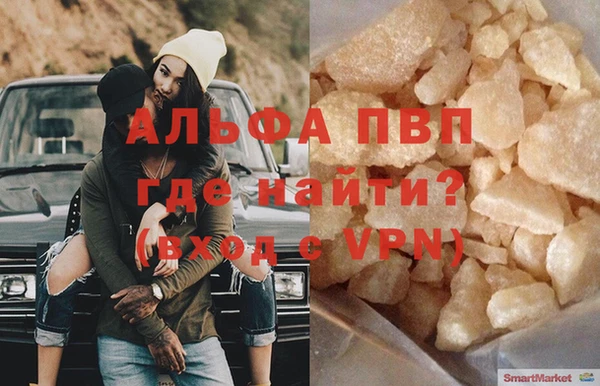 спайс Богданович